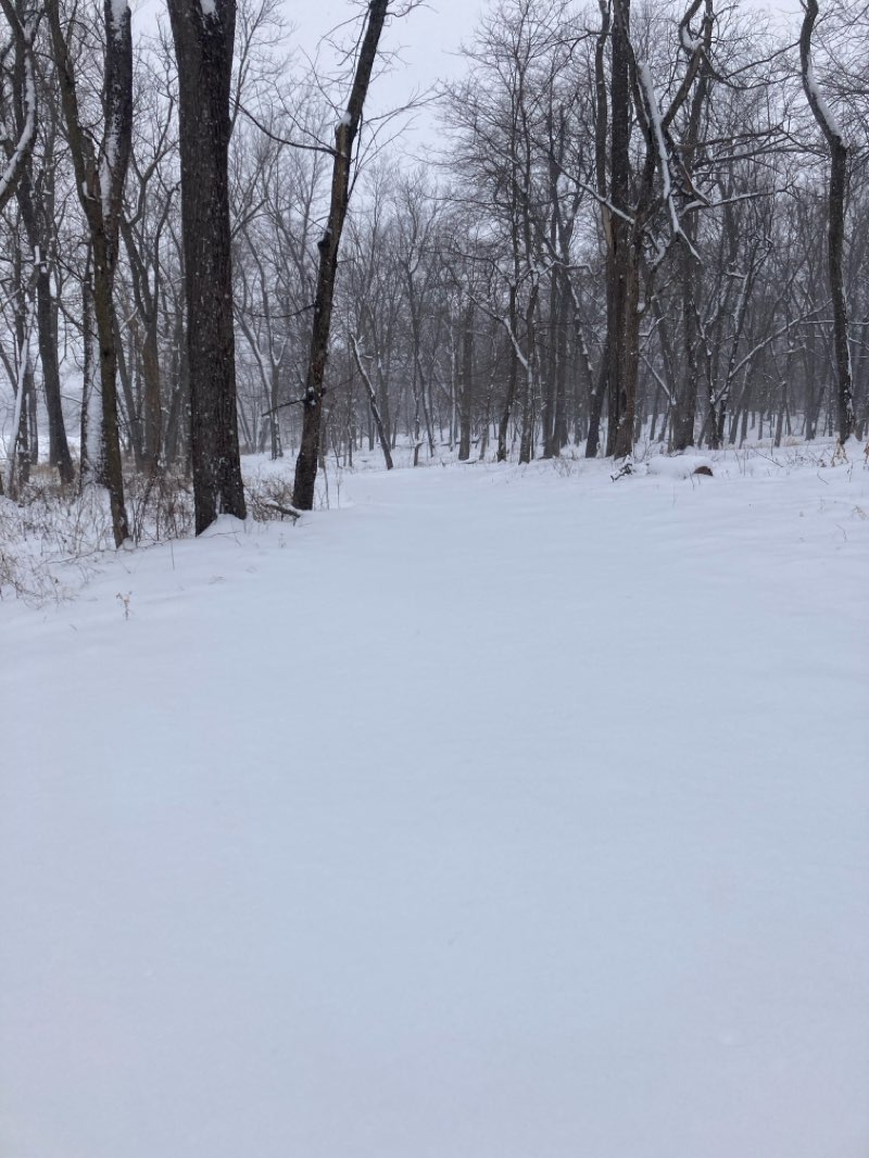 walking near me in Lake Ahquabi State Park in winter