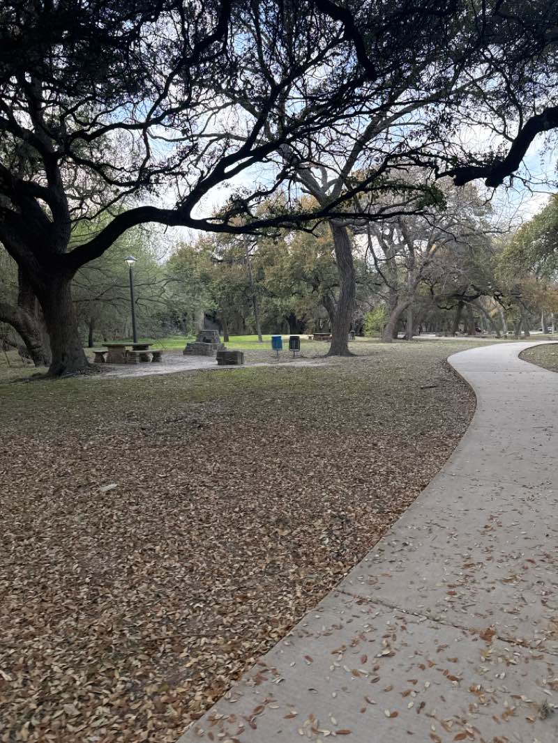 walking near me in Olmos Basin Park in spring