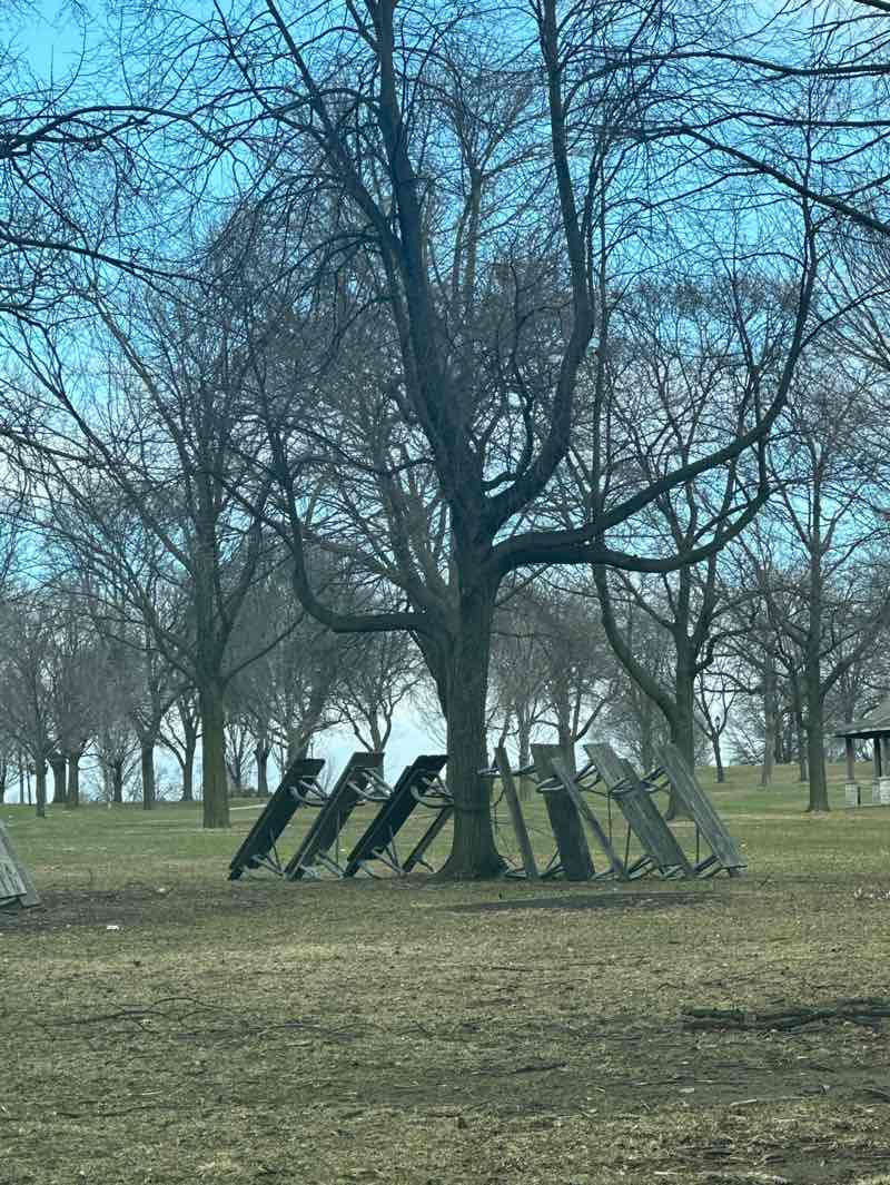walking near me in Washington Park in spring