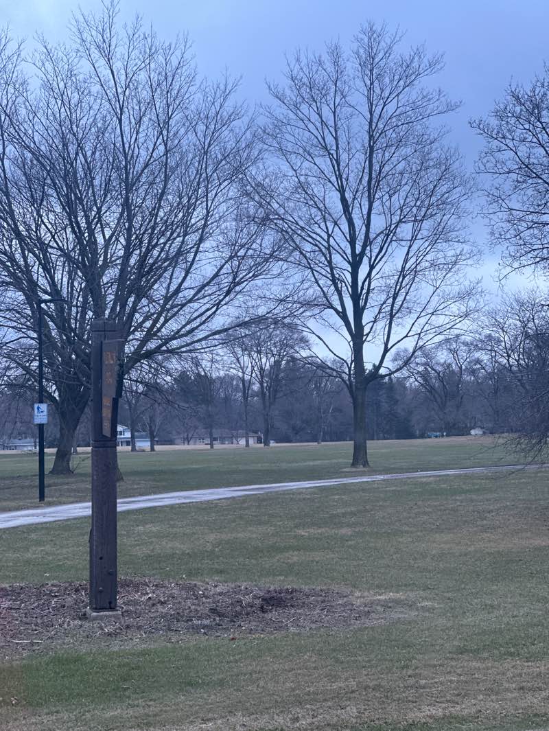 walking near me in Algonquin Park in spring