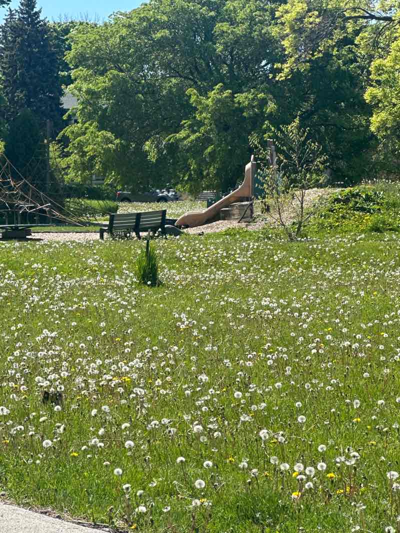 walking near me in Riverside Park in spring