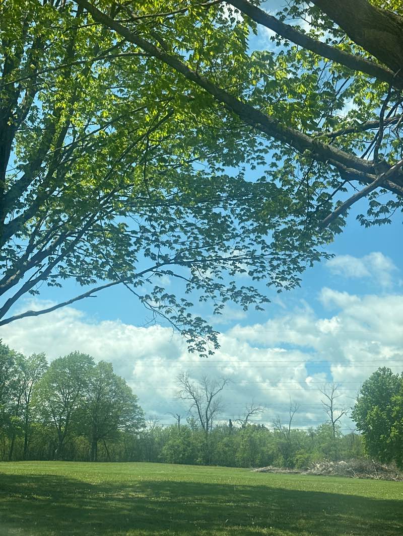 walking near me in Brown Deer Park in spring