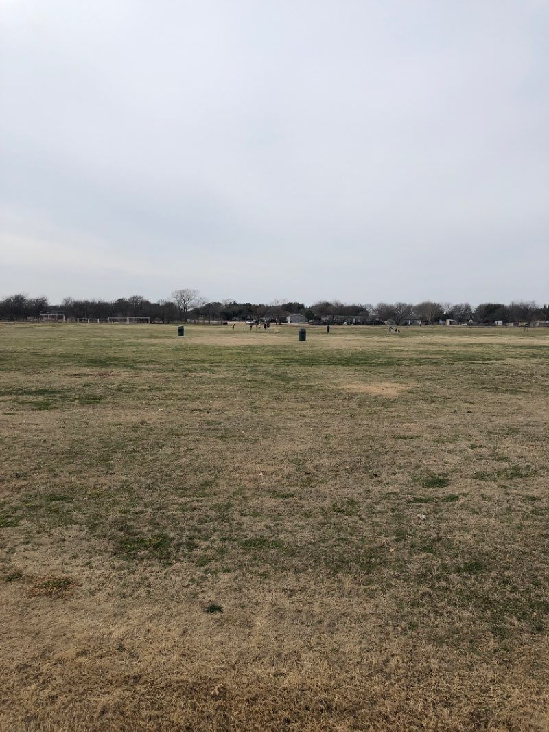 walking near me in Lynn Creek Park in winter