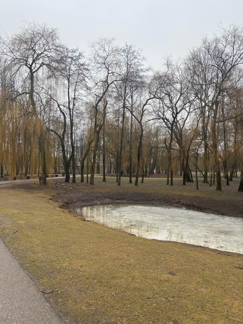 walking near me in Draugystės park in spring