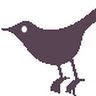 SHAMEEJ icon