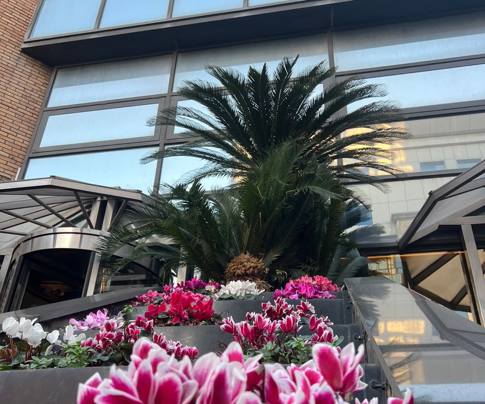 Анастасия profile