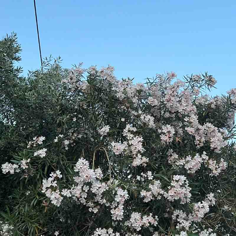 Шагаем вместе🏃‍♀️ Анастасия post image