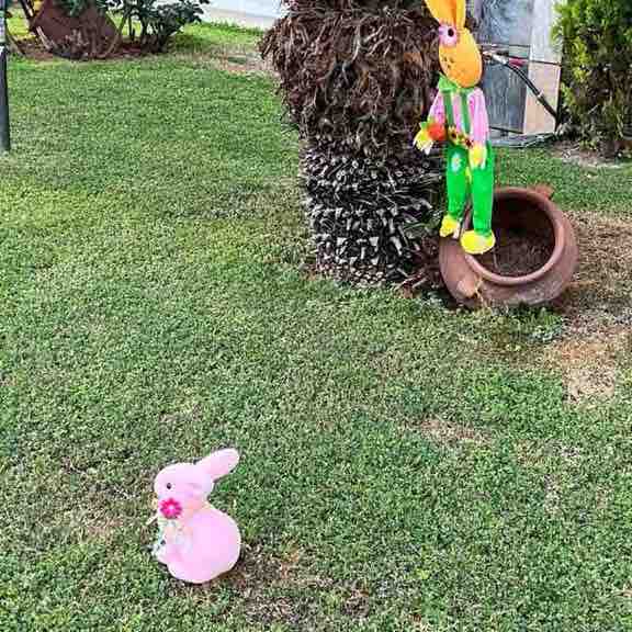 Шагаем вместе🏃‍♀️ Анастасия post image