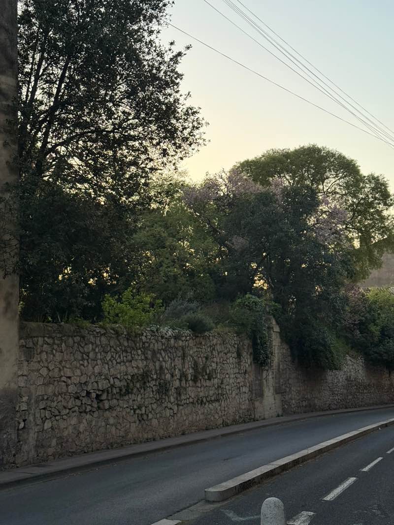 walking near me in Jardin de la Reine in spring