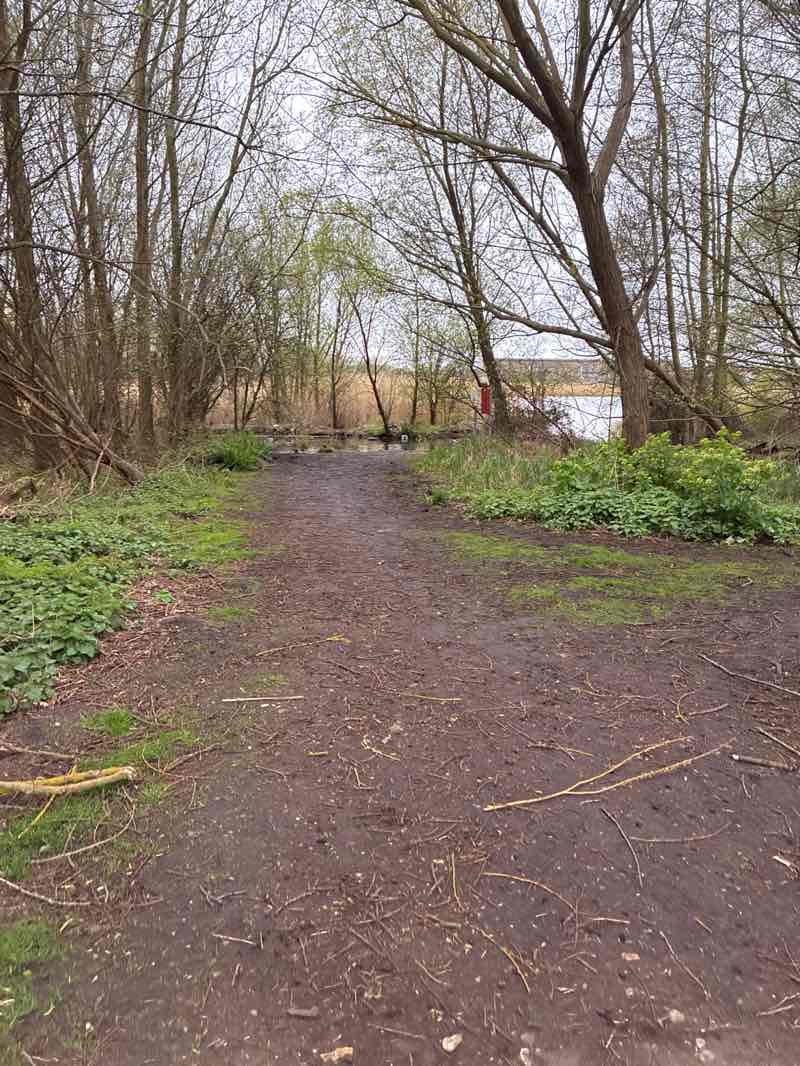 walking near me in Normanston Park in spring