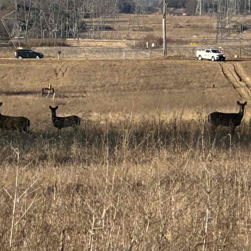 specialknight103 post 1