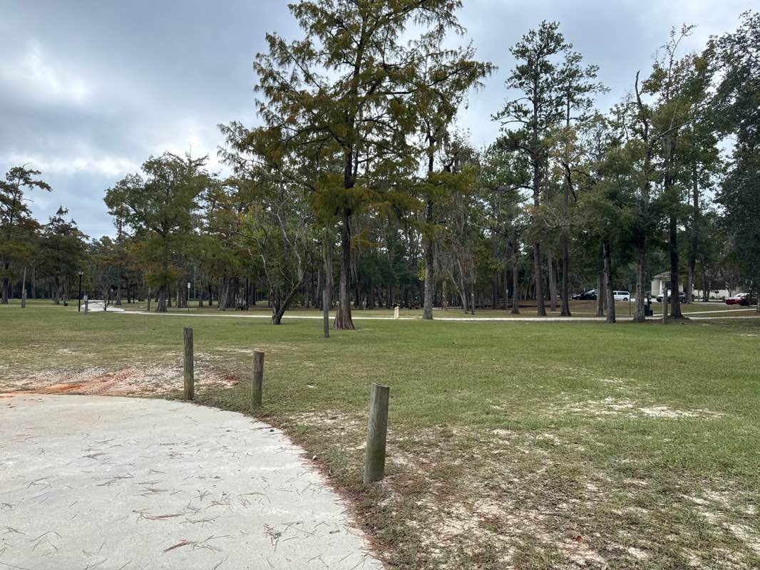 walking near me in Bogue Falaya Park in autumn