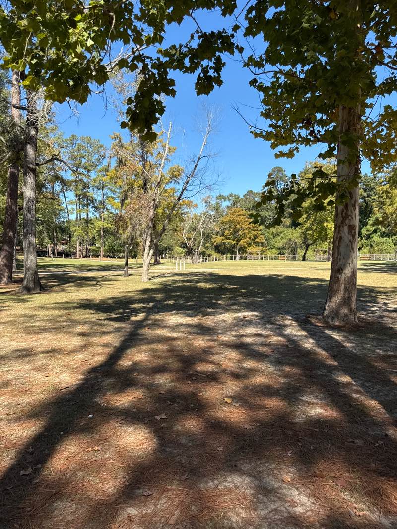 walking near me in Bogue Falaya Park in autumn