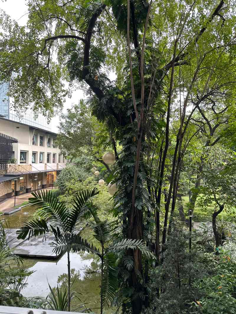 walking near me in Greenbelt Park in winter