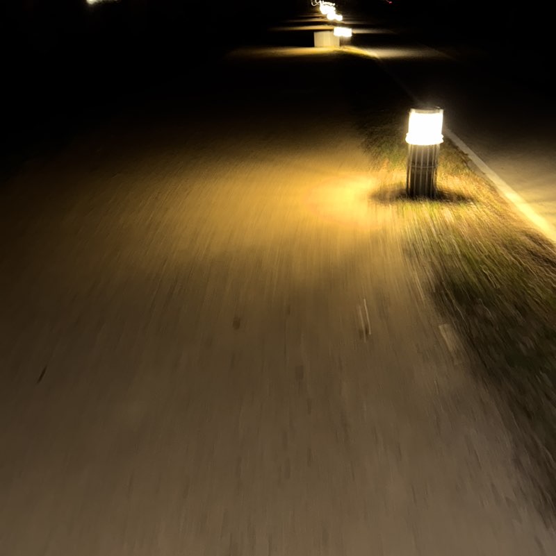 Zazume Laia post image