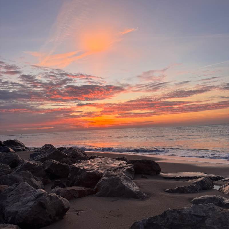 Zazume Laia post image