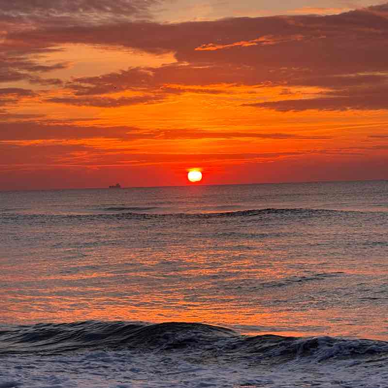 Zazume Laia post image