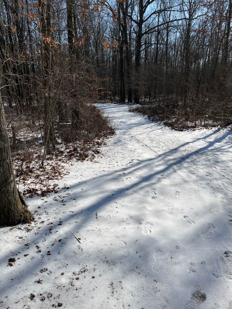 walking near me in Miller Nature Preserve in winter