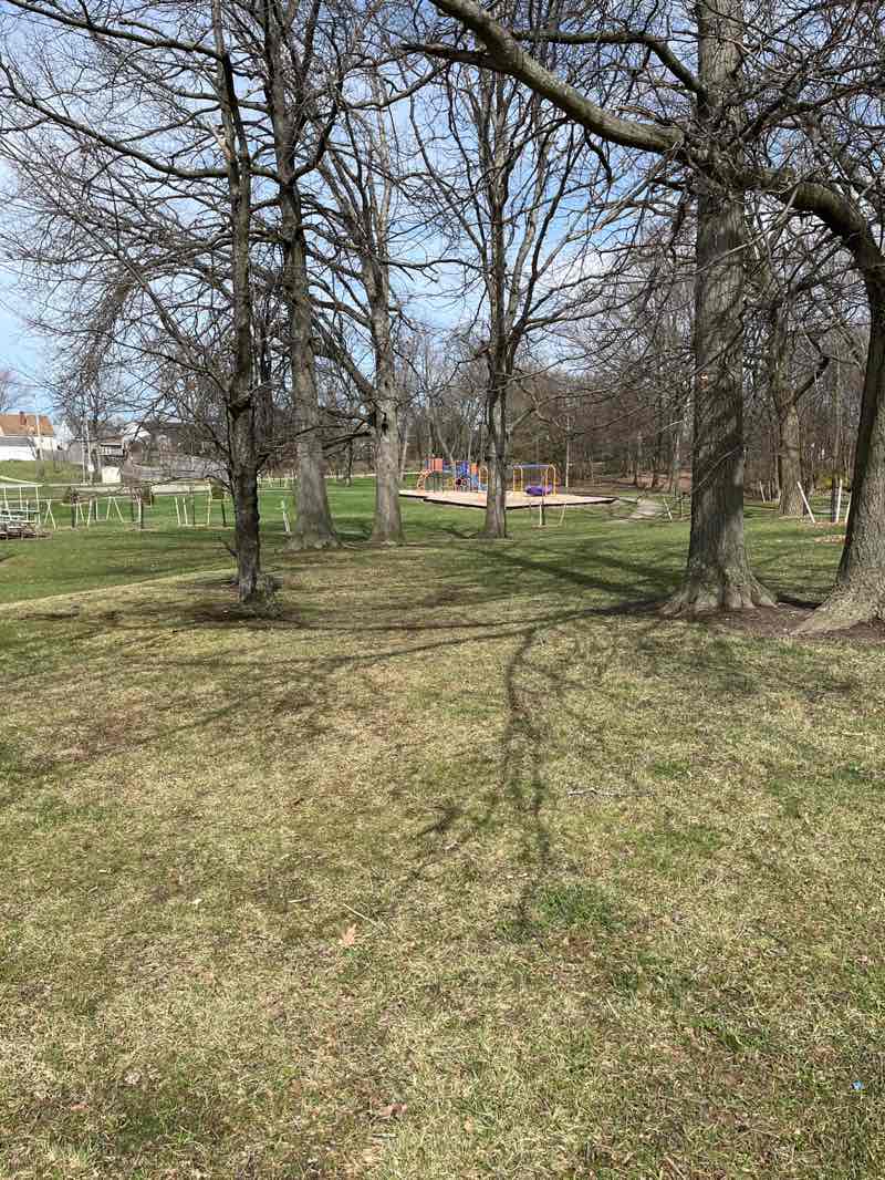 walking near me in Marlborough Park in spring