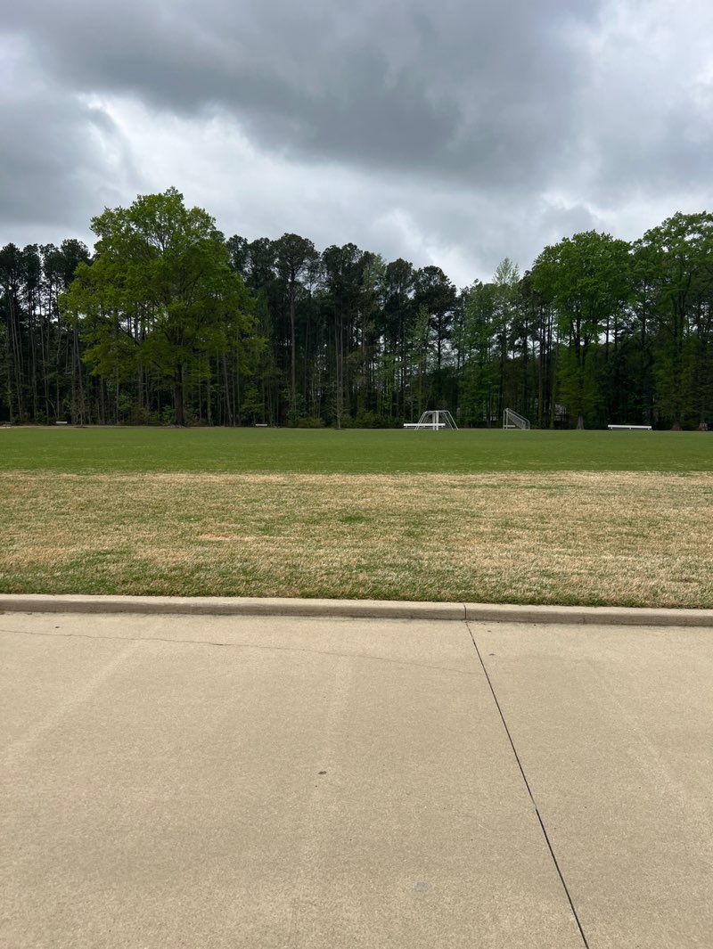 walking near me in Cavalier Terrace Park in spring