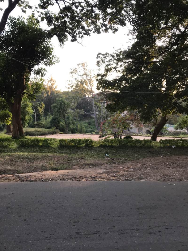 walking near me in Rangely Gardens in winter