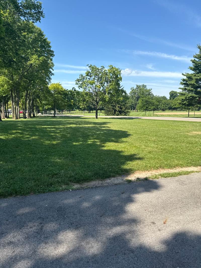 walking near me in Thomas A. Cloud Memorial Park in summer