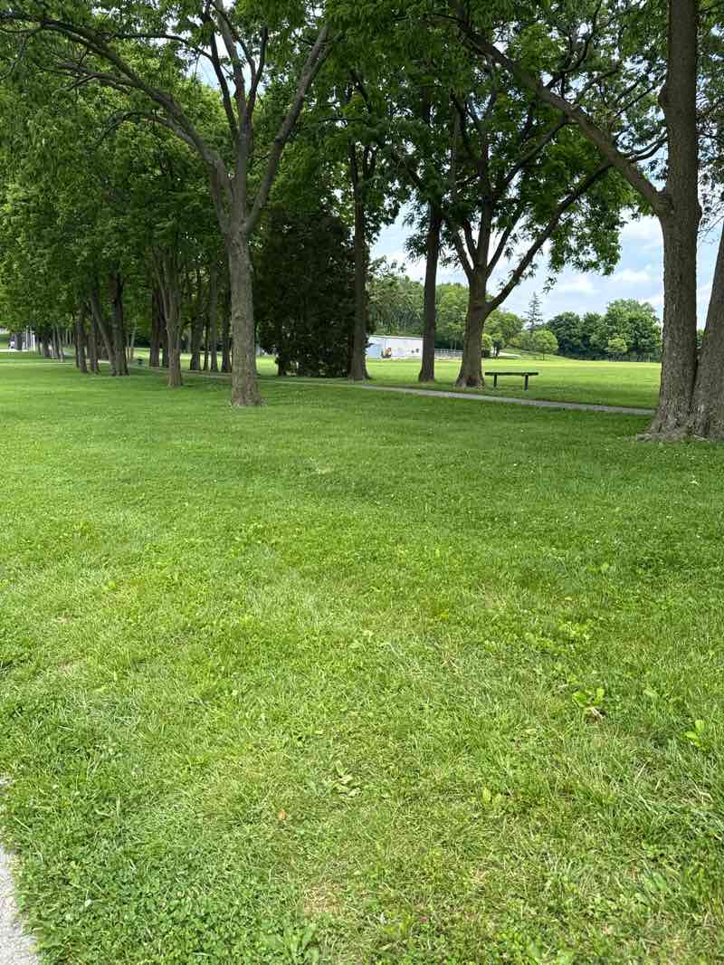 walking near me in Thomas A. Cloud Memorial Park in summer