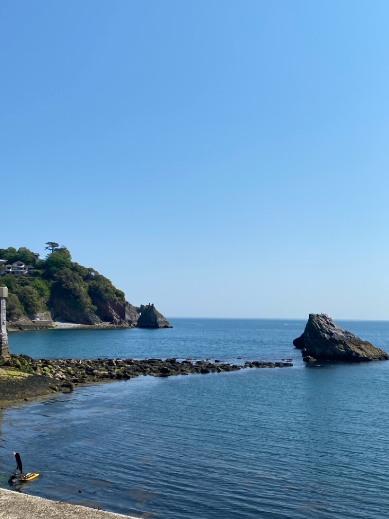 walking near me in Torre Abbey Meadows in spring