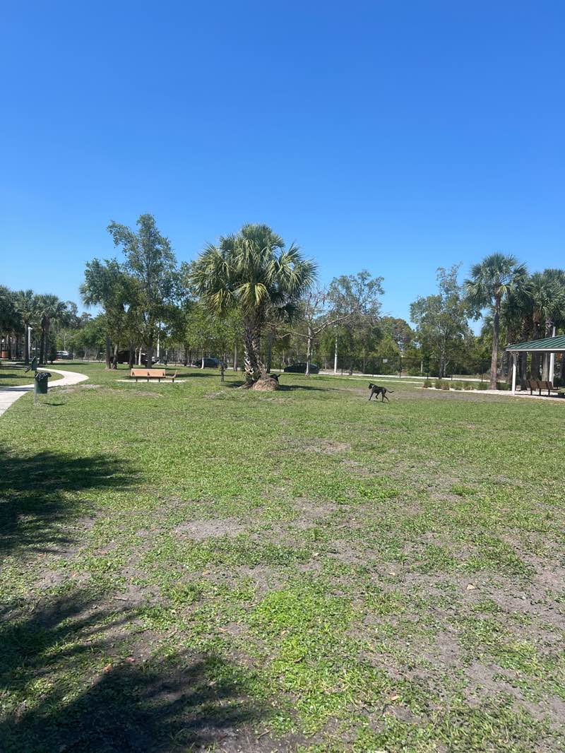 walking near me in Cinquez Park in spring