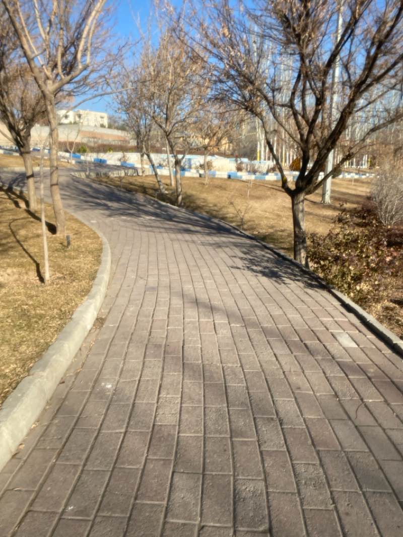 walking near me in پارک ساحلی یادگاران in winter