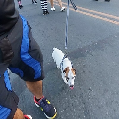 RED Global Engineering Center Fico post image