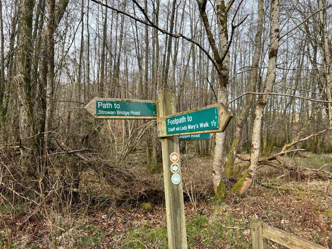 walking near me in Macrosty Park in winter