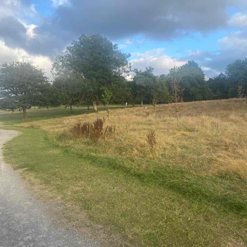 queensham post 1