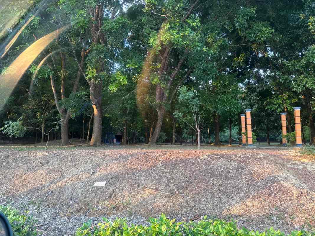 walking near me in Taman Rimba in summer