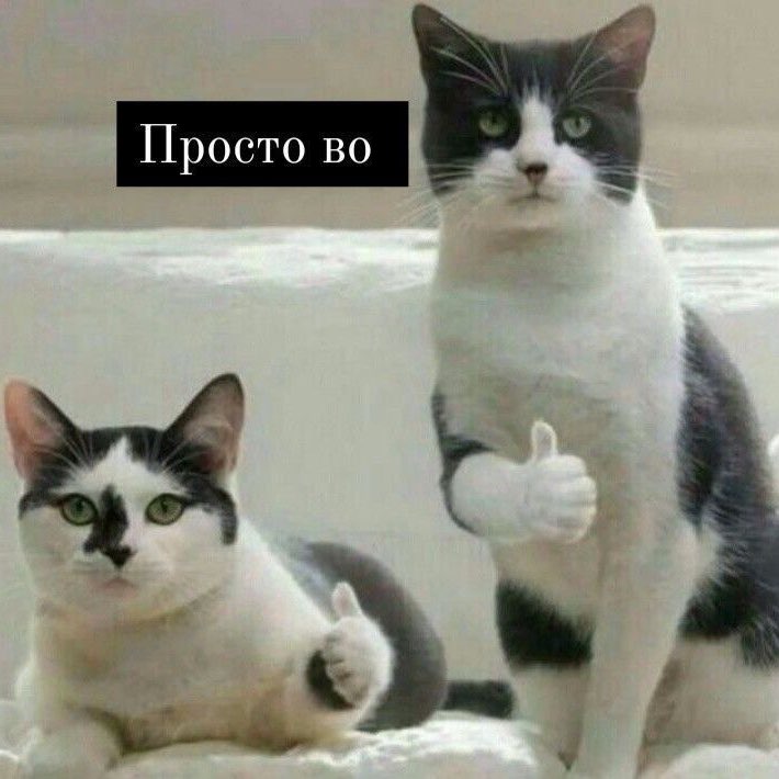 Будь в форме с BGP Будь в форме с BGP post image