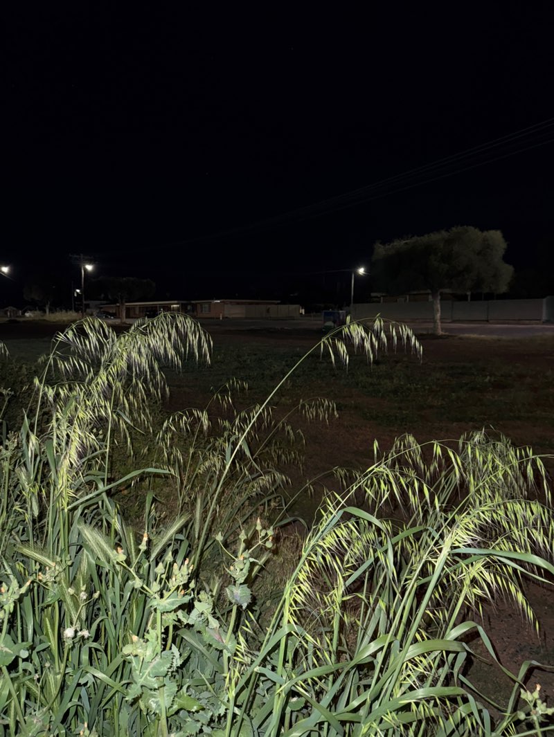 walking near me in May Park in spring