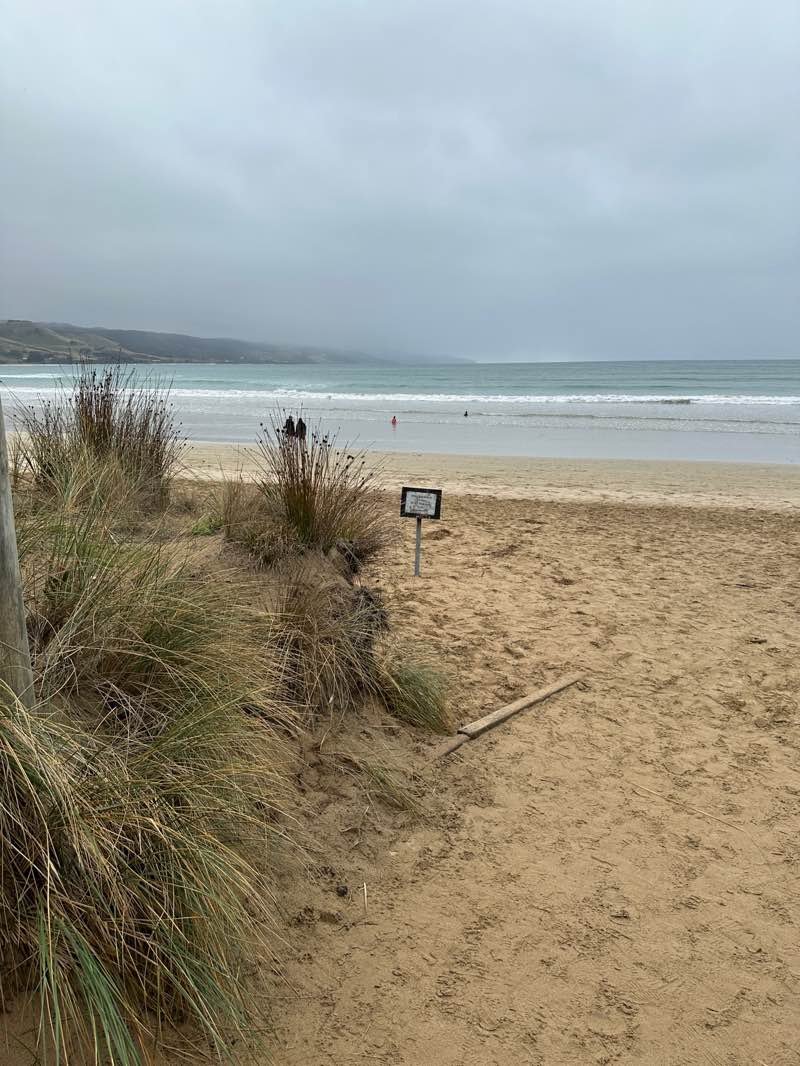 walking near me in Foreshore Reserve in autumn
