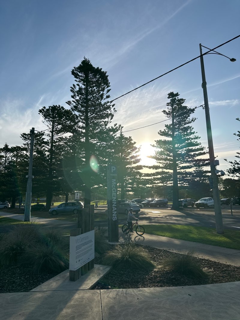 walking near me in E Johnson Reserve in autumn