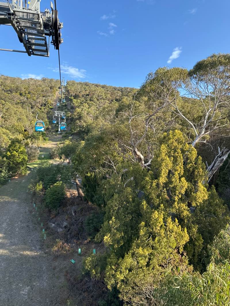 walking near me in Arthurs Seat State Park in autumn