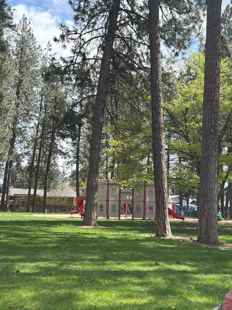 walking near me in Sportsman's Park in spring