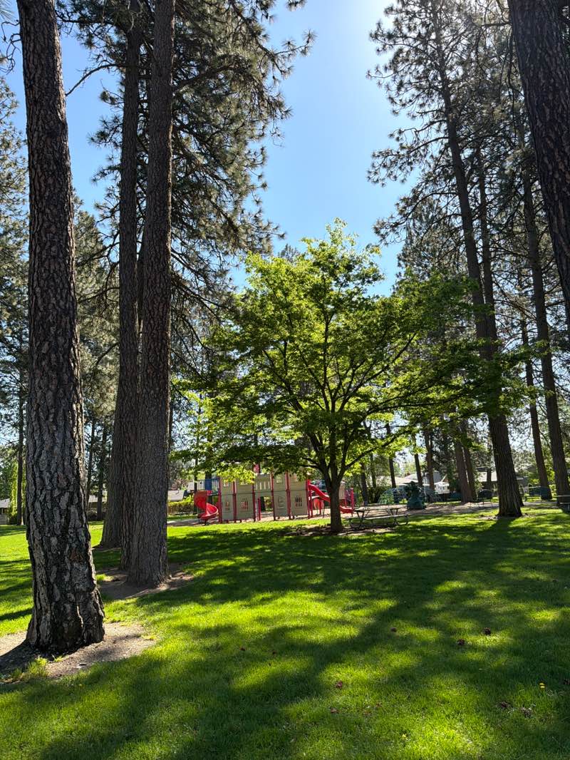 walking near me in White Pine Park in spring