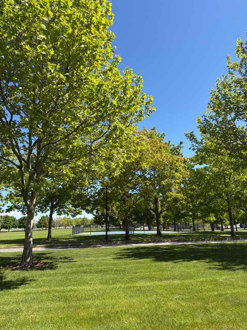 walking near me in Woodbridge Park in summer