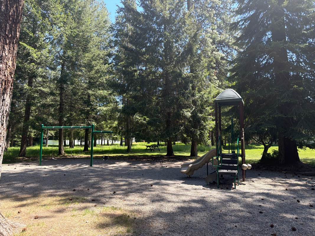 walking near me in McCall Park in summer