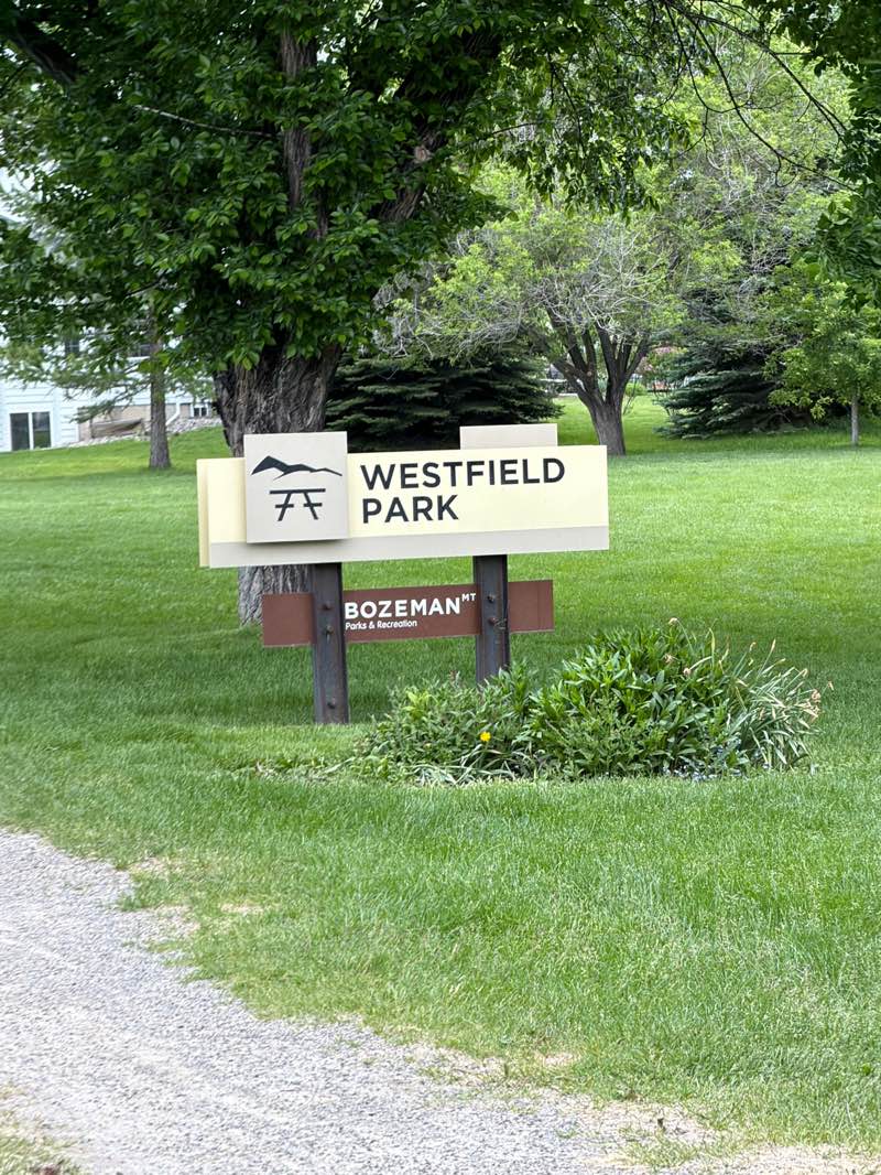 walking near me in South Westfield Park in summer