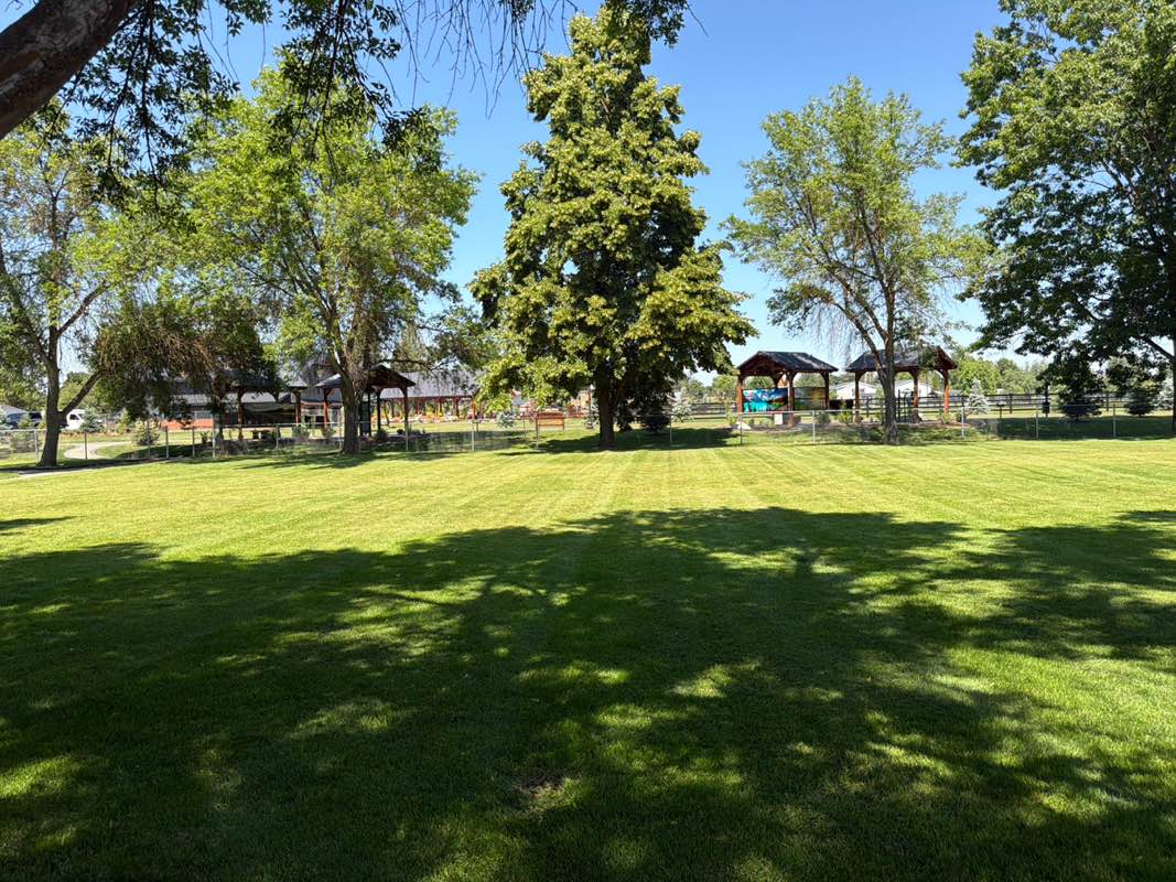 walking near me in Northshire Park in summer