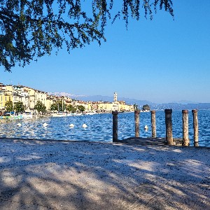 Manuela Zecchini profile