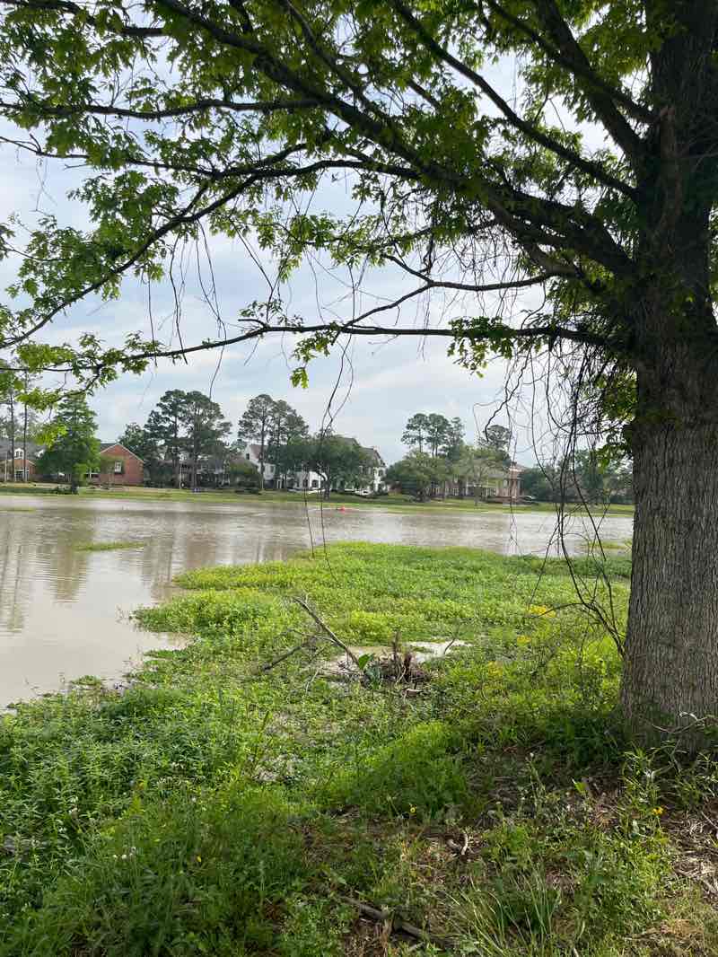 walking near me in Milford Wampold Memorial Park in spring