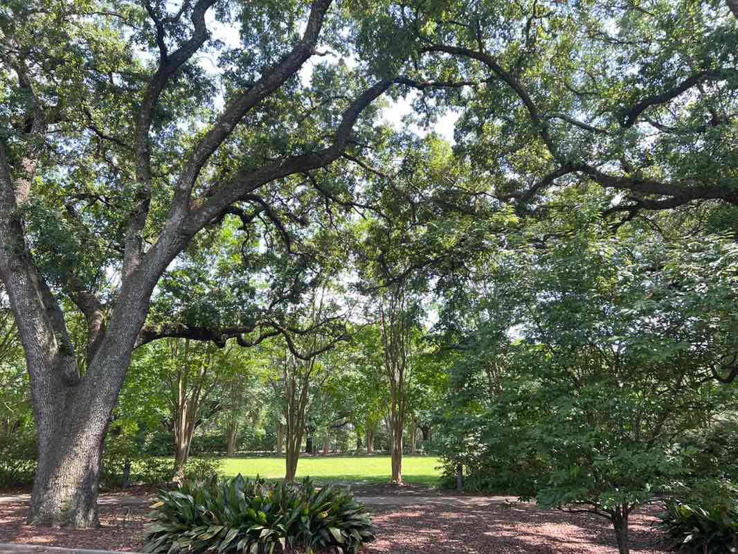 walking near me in Louisiana Veterans Memorial Park in spring