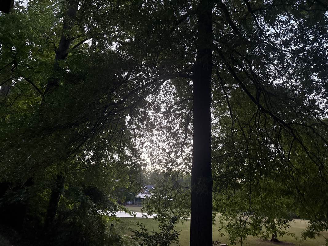 walking near me in Winnona Park in spring