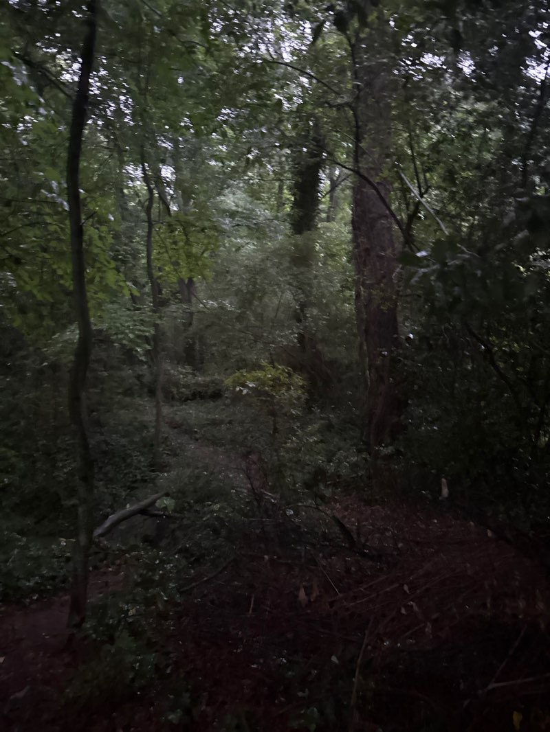 walking near me in Winnona Park in summer